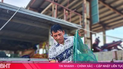 Sản lượng thấp, ngư dân Xuân Hội không mặn mà bám biển