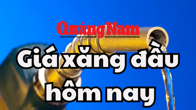 តម្លៃសាំងថ្ងៃនេះ ១៧ មិថុនា ២០២៥៖ ការអភិវឌ្ឍន៍ចម្រុះក្នុងប្រទេស និងពិភពលោក