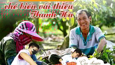 Giải bài toán chế biến vải thiều Thanh Hà