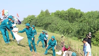 Hà Nội dự kiến chi hơn 312 tỷ đồng từ Quỹ Phòng, chống thiên tai