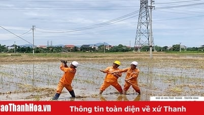 Đã khắc phục hoàn toàn sự cố gãy 19 cột điện do thiên tai