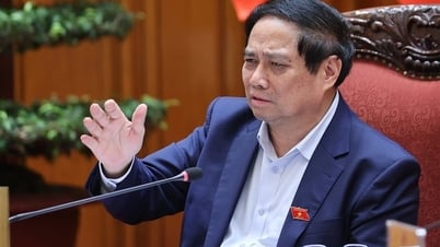 https://vtcnews.vn/thu-tuong-luat-thuong-mai-dien-tu-phai-phong-chong-duoc-hang-gia-buon-lau-ar949457.html