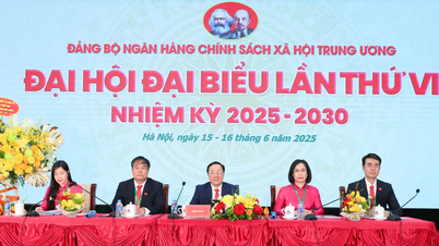 Đại hội đại biểu Đảng bộ Ngân hàng Chính sách xã hội Trung ương lần thứ VI