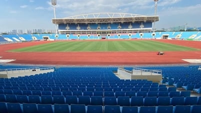 Sân Mỹ Đình được cấp 10 tỉ đồng làm mới hoàn toàn mặt cỏ ‘xịn’, lung linh như sân Hòa Xuân