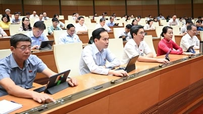 Doanh nghiệp thành lập từ 1-7 phải công bố thông tin chủ sở hữu hưởng lợi