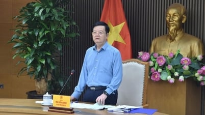 Nghiên cứu, đề xuất phương án khai thác, sử dụng hiệu quả sân vận động quốc gia Mỹ Đình