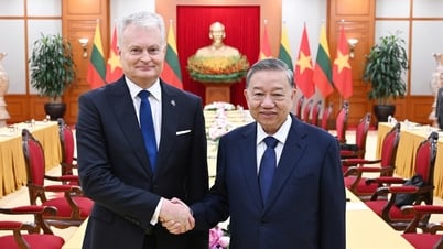 Tổng Bí thư, Chủ tịch nước, Chủ tịch Quốc hội gặp Tổng thống Litva