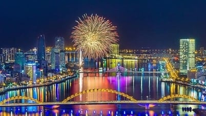 تسريع تحقيق نموذج منطقة التجارة الحرة لمدينة دا نانغ