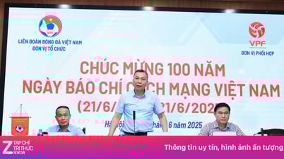 สมาคมฟุตบอลเวียดนาม พูดถึงการใช้นักเตะสัญชาติเวียดนามในทีมชาติ