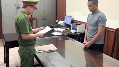 Vì sao chủ kênh TikTok 'Gia đình Hải Sen' bị bắt?