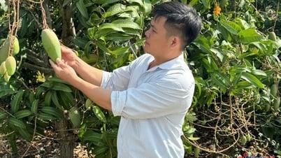 Comment le chef du village de Nung a décidé d'éliminer tous les ménages pauvres du village de Cao Lang