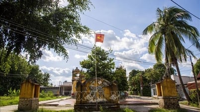 តៃនិញ៖ អភិរក្ស និងផ្សព្វផ្សាយសារីរិកធាតុប្រវត្តិសាស្ត្រ និងវប្បធម៌