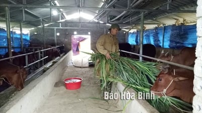 Huyện Lạc Thuỷ đầu tư phát triển vùng đồng bào dân tộc