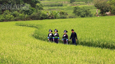 Sắc màu no ấm ở thung lũng bản Sinh