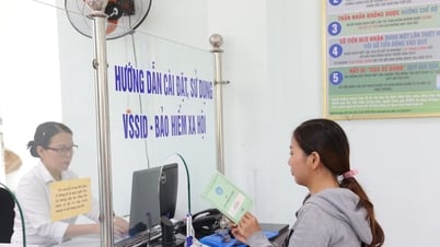 Thêm chế độ thai sản cho người tham gia bảo hiểm xã hội tự nguyện từ ngày 1/7/2025