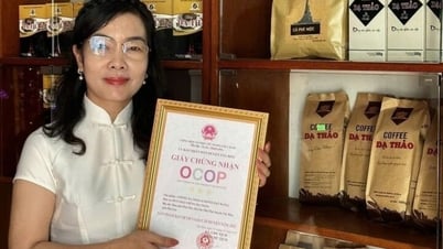 កាហ្វេ ដាថាវ លក់ទំនិញក្លែងក្លាយ ១៧តោន៖ ធ្លាប់ជាផលិតផល OCOP ផ្កាយ៣