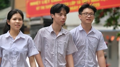 Admission scores for grade 10 of Hai Phong schools in 2025