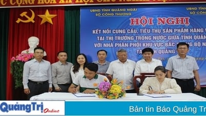 Ký kết 8 biên bản hợp tác kết nối tiêu thụ sản phẩm Quảng Ngãi tại Quảng Trị