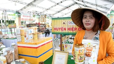 Liên kết để sản phẩm OCOP Quảng Nam đi xa