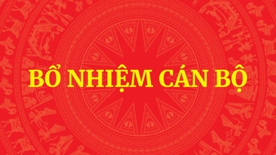 Thủ tướng điều động, bổ nhiệm nhân sự