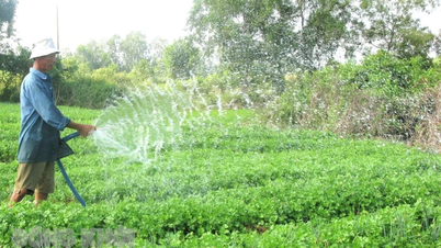 การจัดทำแผนปฏิบัติการสำมะโนชนบทและเกษตรกรรม ปี 2568