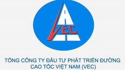 Increase charter capital of parent company - VEC