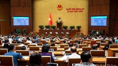 Civil servants and public employees are not allowed to establish, contribute capital to and manage enterprises.