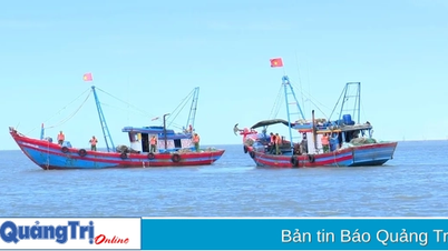 ពិន័យជាប្រាក់ចំនួន ៣៥លានដុង និងដកហូតសិទ្ធិប្រើប្រាស់វិញ្ញាបនបត្រប្រធានទូកនេសាទសម្រាប់ការធ្វើអាជីវកម្មធនធានជលផលនៅតំបន់ឆ្នេរ។