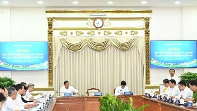 TP Hồ Chí Minh, Bình Dương, Bà Rịa - Vũng Tàu: Khẩn trương hoàn thành các đề án để bộ máy TP Hồ Chí Minh mới vận hành thông suốt từ 1/7