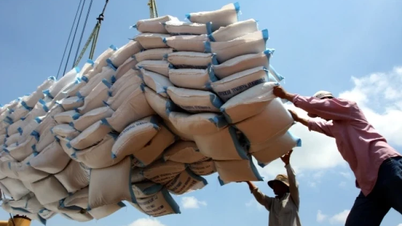 Processing industry group leads growth, exports earn over 180 billion USD