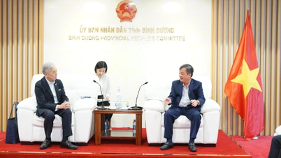 Lãnh đạo UBND tỉnh tiếp Tập đoàn Tokyu