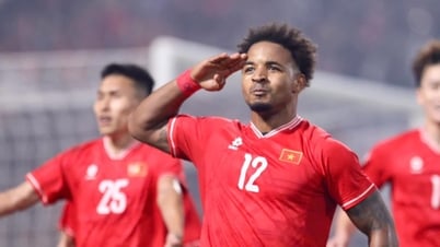 베트남 축구 연맹, 귀화 여부에 대한 계획 논의