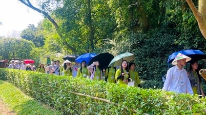 Nghe An ពន្លឿនការស្វាគមន៍ភ្ញៀវទេសចរ 6.2 លាននាក់ក្នុងរយៈពេល 6 ខែដំបូងនៃឆ្នាំនេះ