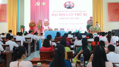 Đảng bộ Trường Cao đẳng Gia Lai tổ chức Đại hội lần thứ XI