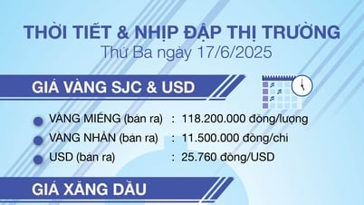 Thời tiết & nhịp đập thị trường 17/6