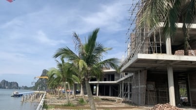 Mở rộng không gian du lịch vịnh Bái Tử Long