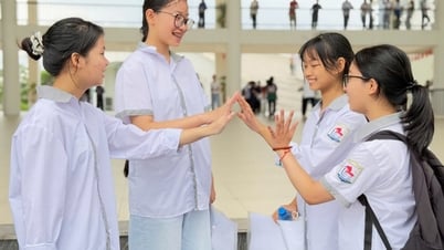 Lớp chuyên Ngữ văn có điểm chuẩn cao nhất kỳ thi tuyển sinh lớp 10 Trường THPT Chuyên Vĩnh Phúc năm 2025 - 2026