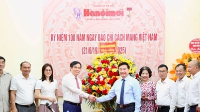 Der stellvertretende Leiter der Zentralen Propaganda- und Massenmobilisierungskommission, Phan Xuan Thuy, besuchte die Zeitung Hanoi Moi und gratulierte ihr.