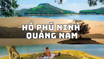 Hồ Phú Ninh Quảng Nam: Thiên đường sinh thái đẹp như tranh vẽ