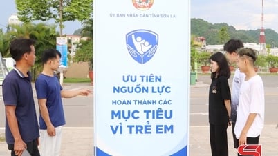 Building a safe and healthy environment for children to develop comprehensively