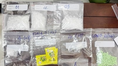 税関部門は6,400件以上の違反を逮捕・処理している