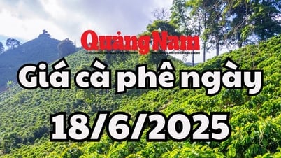 Tin tức, dự báo giá cà phê ngày mai 18/6/2025 chờ đợi đợt hồi phục