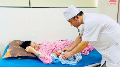 مفتاح تحسين جودة السكان