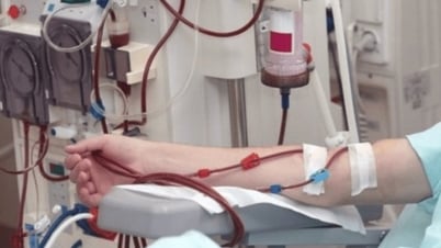 Suy thận mạn trẻ hóa và gia tăng