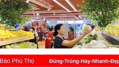 Giá cả một số mặt hàng tiêu dùng ngày 17/6