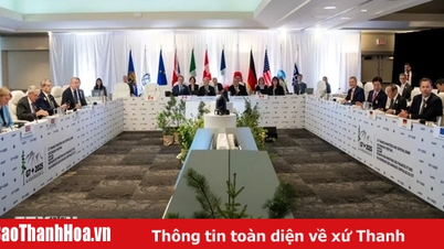 Các nước đồng minh nỗ lực đạt thỏa thuận thương mại với Mỹ