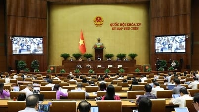 A constitutional milestone – a step forward in reform