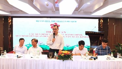 Consultation Conference on regulations on administrative procedures and regulations related to production and business activities of the Ministry of Culture, Sports and Tourism