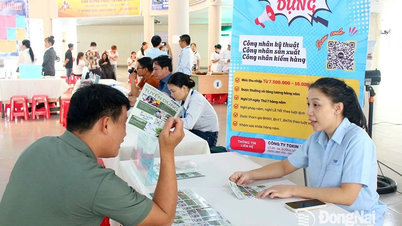 Hơn 4,3 ngàn lao động được giải quyết việc làm trong 6 tháng đầu năm 2025