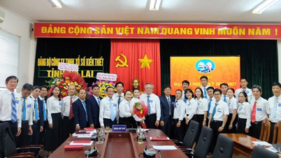Focus on developing party members, creating high-quality human resources